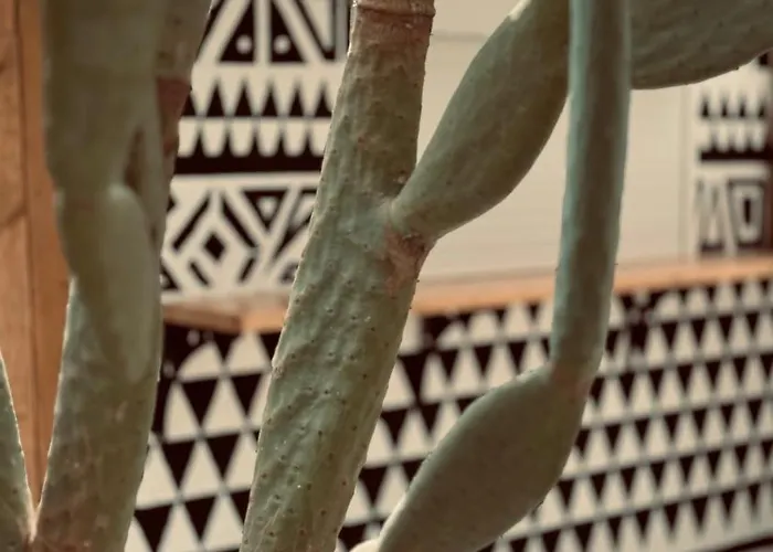 La Casa Di Lusso N3 - Adults Only Lejlighed Kolymbia