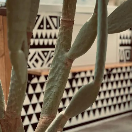 La Casa Di Lusso N3 - Adults Only דירה קולימביה